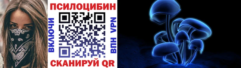 где купить наркоту  даркнет клад  Псилоцибиновые грибы Magic Shrooms  Зеленокумск 
