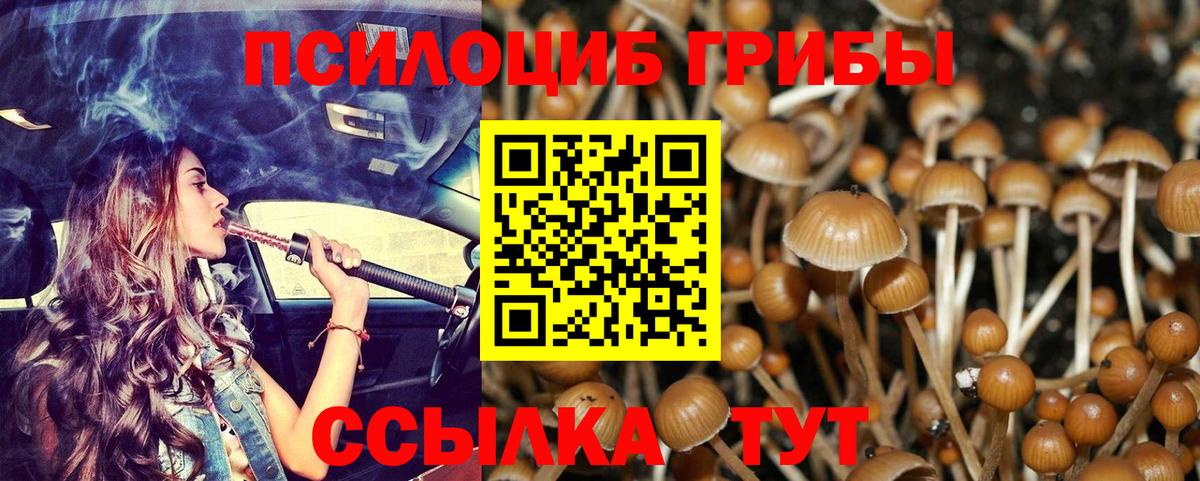 Зеленокумск  Галлюциногенные грибы GOLDEN TEACHER  Вход с VPN  Псилоцибиновые грибы MAGIC MUSHROOMS 